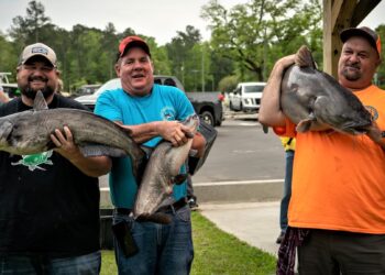 Intermediate, catfish, catfishing, blue catfish, flathead catfish, channel catfish, tournament, Santee Cooper, Mark Coburn, Daniel Googin, Kevin Lakin, David Kingsmore, Johnny Derrick, Zen Wicker, Alyssa Derrick, Stephanie Wicker, Ralph Willey, Homer Wright, Tyson Wright, Cooper River