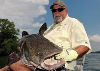 beginner, catfish, fishing, sonar, GPS, marine electronics, bnm poles, driftmaster rod holders, flatheads, sonar, GPS, downscan, sidescan, imaging, structure, fallen trees, submerged trees, Pounders, Gallup, Breedlove, Godwin, Severns, Haney, Crimm