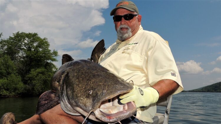 beginner, catfish, fishing, sonar, GPS, marine electronics, bnm poles, driftmaster rod holders, flatheads, sonar, GPS, downscan, sidescan, imaging, structure, fallen trees, submerged trees, Pounders, Gallup, Breedlove, Godwin, Severns, Haney, Crimm