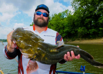 Catching flatheads consistently requires the right bait placed precisely on target.