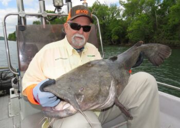 beginner, catfish, fishing, sonar, GPS, marine electronics, bnm poles, driftmaster rod holders, flatheads, sonar, GPS, downscan, sidescan, structure, fallen trees, submerged trees, Pounders, Gallup, Goodwin, Crimm, Haney, Severns, Hughey, Eric Carlson, Ty Konkle, Roger Breedlove, Richard Chapman