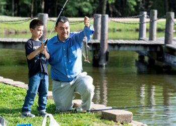beginner, catfish, fishing, neighborhood, ponds, channel cats, Texas, stocking