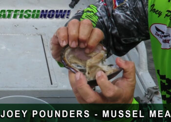 CFN How to Video with Joey Pounders—Mussel Meat