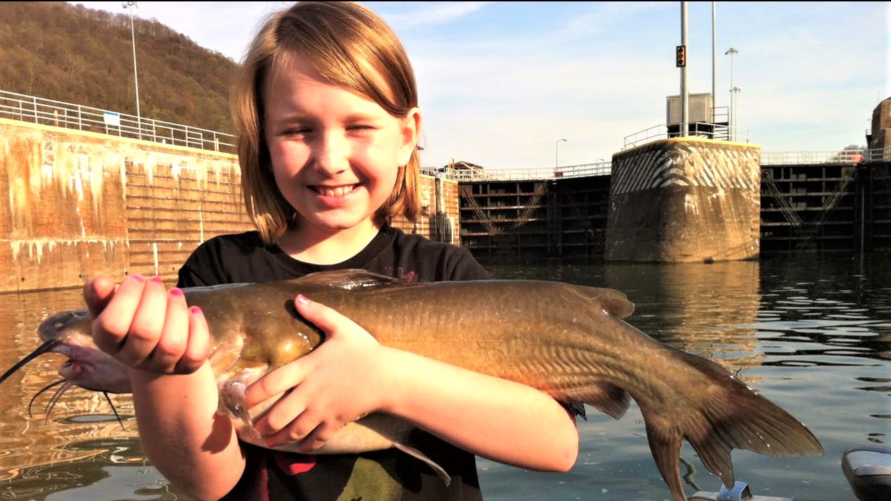 intermediate, catfish, catfishing, Ohio River, Gallipolis, OH, Janet Fox, Bink Fox, Bink Fox Fishing for Vinton County Research Group