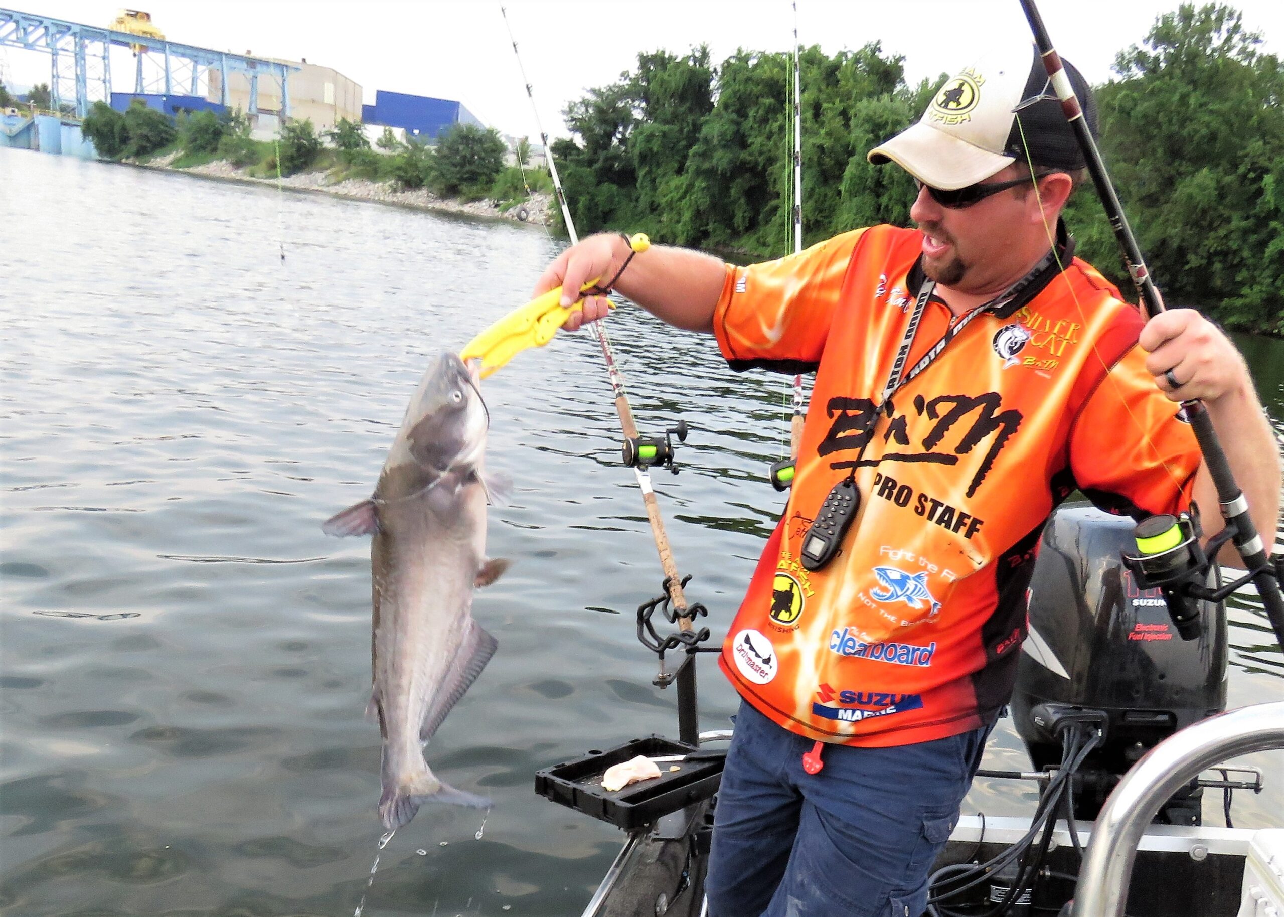 intermediate, catfish, catfishing, Richard Simms, Ty Konkle, Mike Mitchell, Scenic City Fishing Charters, chicken, skipjack, free line, Tennessee River, Wilson, Wheeler