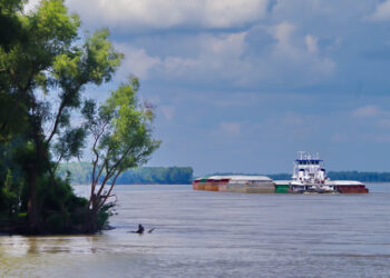 A five-year study of the Lower Mississippi River in Arkansas, Illinois, Kentucky, Louisiana, Mississippi, Missouri and Tennessee will help guide Corps of Engineers management and conservation efforts well into the future.