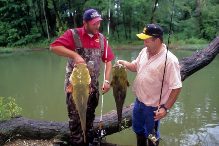 Wise catfish anglers practice restrictive harvest, releasing large fish (like the flathead on the left) to be caught another day and keeping smaller, more abundant fish (like the one on the right) to eat.