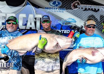 intermediate, catfish, catfishing, tom stolze photography, SeaArk Boats, Twisted Cat Outdoors, Alex Nagy, Tom Stolze, Andy Needham, Billy Littleton, Bobby Littleton, Randy Dodd, Jeff Dodd, Joe Hardy, Barry Wilson