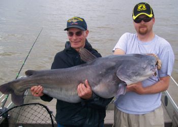 Veteran catfish guide Mike Mitchell (on right) rigs up with stout tackle and big baits for monsters, such as this 88-pound blue cat caught on the Tennessee River.