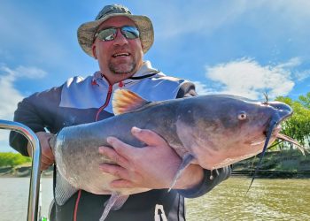 2021 produced a great trophy bite on the Red River of the North and being in the right place made all the difference. Cody Fahrmann just wanted a 20-pound channel cat. This was one of five on that day.
