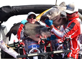 intermediate, catfish, catfishing, SeaArk Boats, BnM Fishing, Mississippi River Monsters, Mississippi River, Memphis, bumping, anchoring, current, skipjack, George Young Jr., Bill Dance, Nooner Hall, Les Thompson, Trenton Thompson, David Shipman, Phil King, Jerry Ishcomer, Eddie Anderson, Justin Tomlinson, Brooks Wilbanks