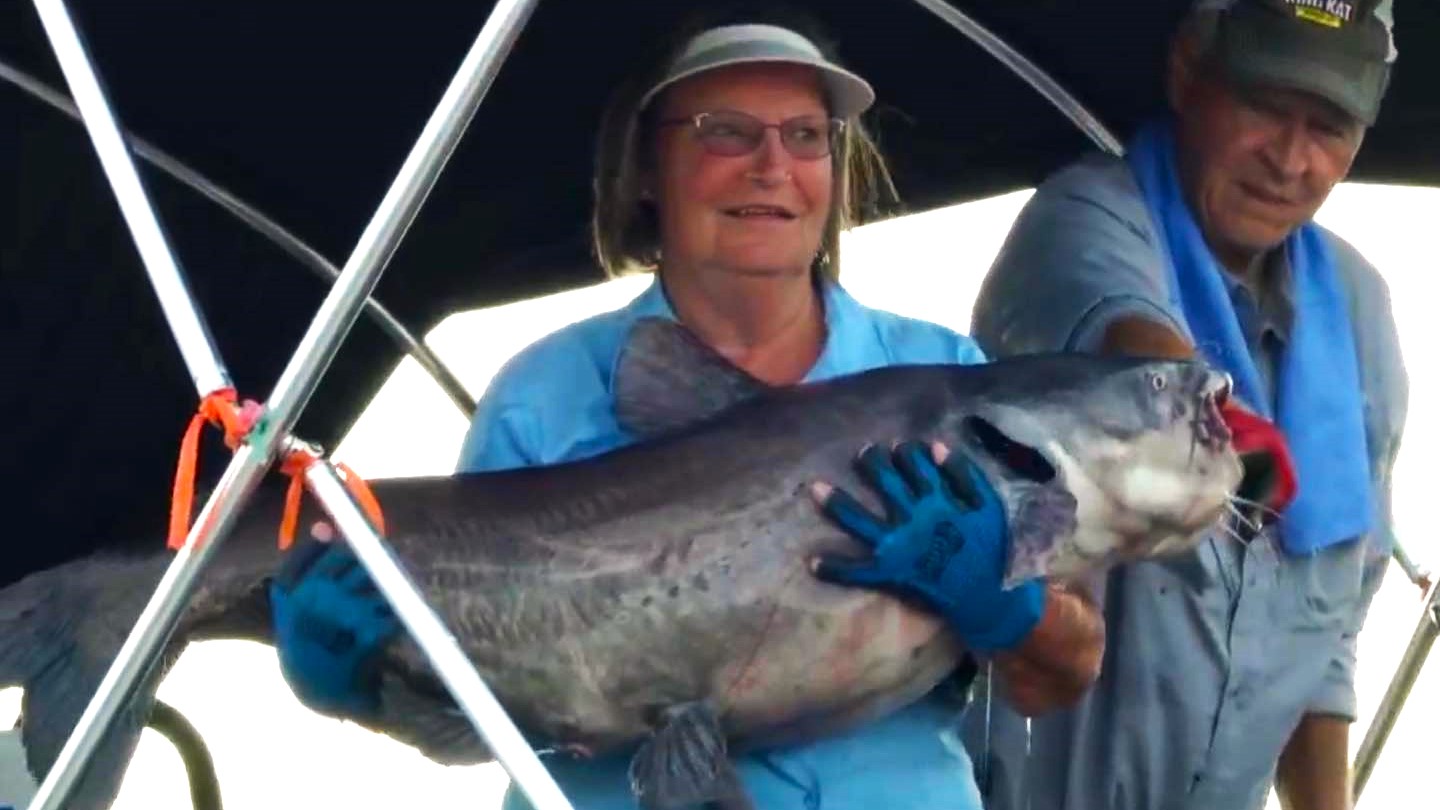 intermediate, catfish, catfishing, bumping, anchoring, current, skipjack, Donnie Fountain, Lonnie Fountain, Doug McAnally, Wanda Barrett Barner, Ron Barner, Mike Mitchell, Jackson Mitchell, Rick Sexton, Kenny Breakfield, Louisiana River Parishes, King Kat, Bob Denen