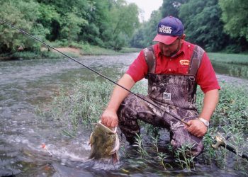 Small rivers often have cleaner water, gravel bottoms and easy access areas for anglers who want to wade or launch a canoe or kayak.