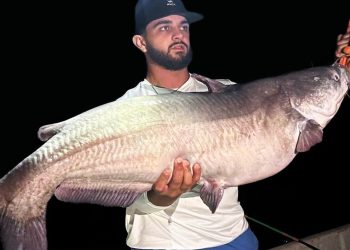 Chris Andrews’ night-time fishing