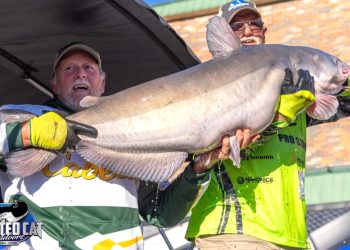 intermediate, catfish, catfishing, SeaArk Boats, Twisted Cat Outdoors, Alex Nagy, Liz Nagy, Tom Stolze, Coia Sneed, Bryan St Alma, George Young Jr, Nooner Hall, Les Thompson, Trenton Thompson, Tim Spencer, David Shipman, Phil King, Mike Davis, Larry Davis, Charles LaPlant, Tom Petrowski, Alex Petrowski, Damien Clark