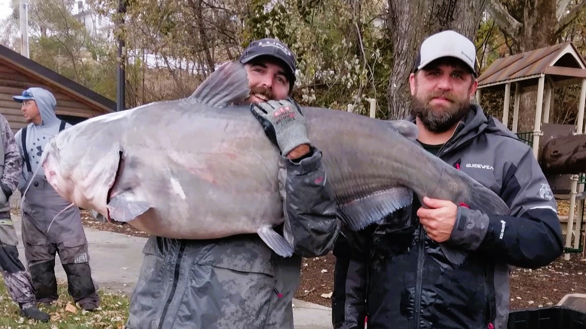 Intermediate, catfish, catfishing, blue catfish, flathead catfish, channel catfish, tournament, Missouri Catfish Classic, Missouri River, Craig Norris, Andy Thompson, Dustin Johnson, Mike Gray, Denny lburg, William Pranker, Shane Wyatt, Alex Nagy, Wallace Maier, Sara Kennedy, Jeff Kennedy, Jeremy Stone, Joel Roberts, Justin Claar, Daniel Meredith, James Jackson, Charles Scott, Morgan Reed, Josh Vail, Bobby Joliet, Mackensie Delrosso, Jason Anderson