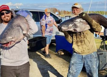 Intermediate, catfish, catfishing, blue catfish, flathead catfish, channel catfish, tournament, Blacks Camp Big Cat Shootout, Mark Coburn, Ralph Willey, Tonja Elliot Willey, Chuckie Ouvry, Jeff Brinkley, Trey Smith, Gerald Smith, Jonathan Keatts, GLW Baits