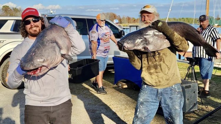 Intermediate, catfish, catfishing, blue catfish, flathead catfish, channel catfish, tournament, Blacks Camp Big Cat Shootout, Mark Coburn, Ralph Willey, Tonja Elliot Willey, Chuckie Ouvry, Jeff Brinkley, Trey Smith, Gerald Smith, Jonathan Keatts, GLW Baits