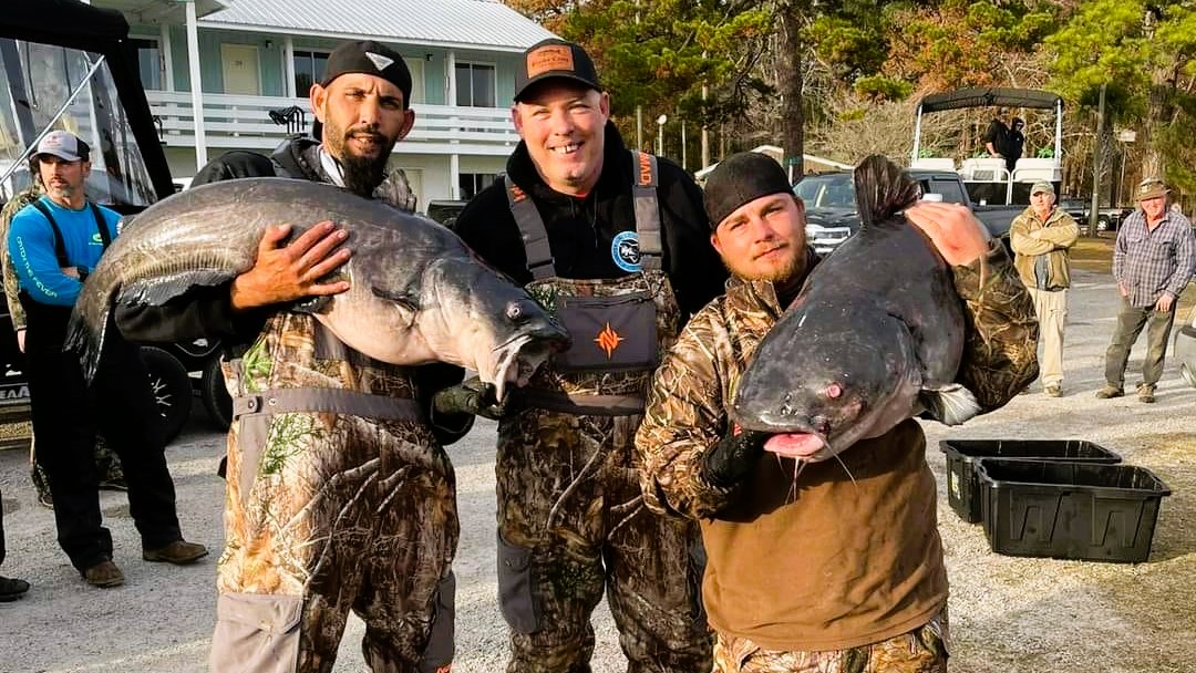 Intermediate, catfish, catfishing, blue catfish, flathead catfish, channel catfish, tournament, Blacks Camp Big Cat Shootout, Mark Coburn, Ralph Willey, Tonja Elliot Willey, Chuckie Ouvry, Jeff Brinkley, Trey Smith, Gerald Smith, Jonathan Keatts, GLW Baits