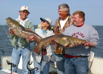 Trolling works great for putting some dandy catfish in the boat—winter, spring, summer and fall.