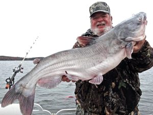 The lower section of the Catawba River chain of lakes produces big wintertime blues.