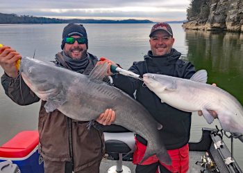 (l-r) Capt. Todd Arganti and Capt. Denny Sharrone are walleye-fishing guides on Lake Erie, so obviously they are not afraid of a little cold weather. They occasionally find their way south to fish the Tennessee River, landing this respectable blue catfish double on January 22.