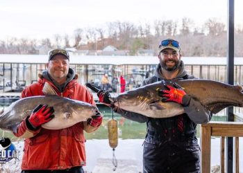 intermediate, catfish, catfishing, SeaArk Boats, Twisted Cat Outdoors, Alex Nagy, Tom Stolze, Justin Claar, Aaron Sherman, J.T. Ray, Kassie Holmes Ray, Justin Ray, John Spatafora, Brian Saunders, Kaleb Mcadams, Chris Baker, Chris Brinegar, Troy Phillips
