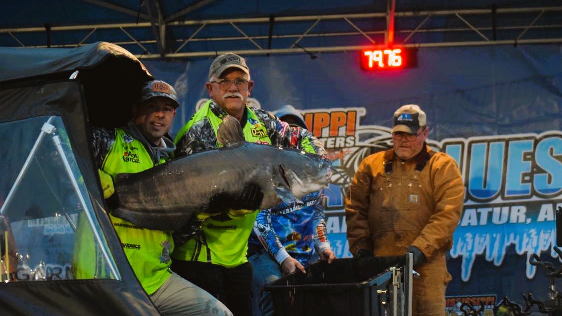 catfish, tournament, MRM Bama Blues, Bama Blues, blue cat, flathead, Wheeler Lake, Chris Ramsey, George Young Jr, Decatur, Alabama, SeaArk Boats, BnM Fishing, American Catfishing Association, ACA, Mike Mitchell, Jackson Mitchell, Donnie Fountain, Lonnie Fountain, David Shipman, Hunter Shipman