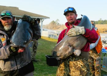 Intermediate, catfish, catfishing, blue catfish, flathead catfish, channel catfish, tournament, Santee Lakes Catfish Club, Mark Coburn, Ralph Willey, Tonja Elliot Willey, David Kingsmore, Bradley Tucker, Jamie Hudson, Casey Craig, Barry Moore, Wesley Bridges, Alice Coborn, Daniel Goggin, Dennis Glover, Mike Rivers
