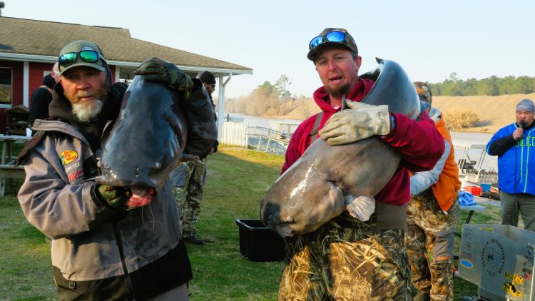 Intermediate, catfish, catfishing, blue catfish, flathead catfish, channel catfish, tournament, Santee Lakes Catfish Club, Mark Coburn, Ralph Willey, Tonja Elliot Willey, David Kingsmore, Bradley Tucker, Jamie Hudson, Casey Craig, Barry Moore, Wesley Bridges, Alice Coborn, Daniel Goggin, Dennis Glover, Mike Rivers