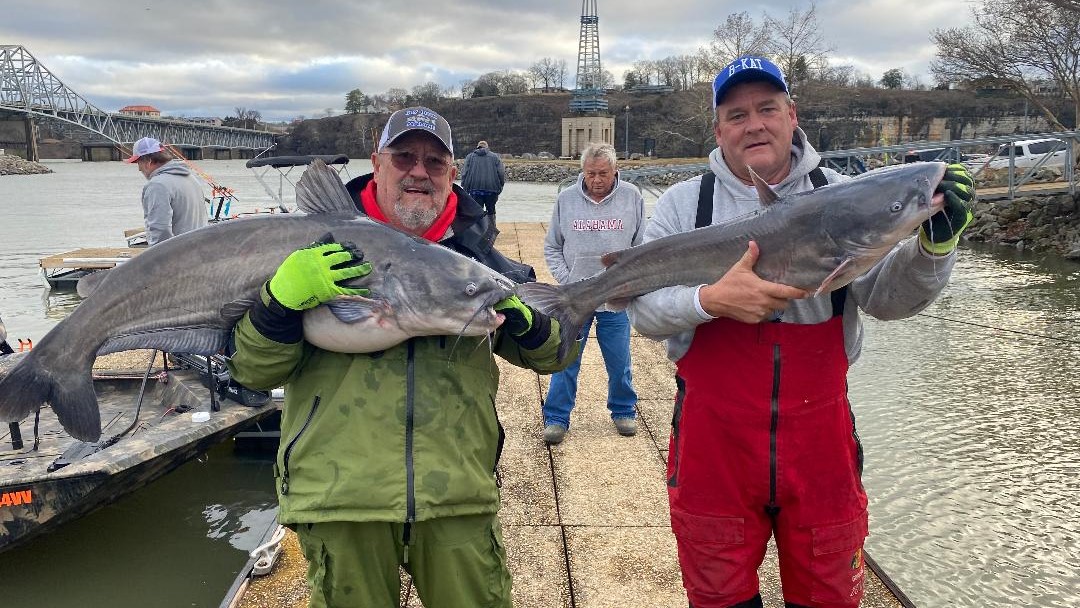 intermediate, catfish, catfishing, tournament, Lisa Gail Haraway, Cindy White, Bill White, Ron Goucher, Ray Nix, Tim West, Chad West, Morgan Young, Chris Fuller, Doc Lange, Pickwick Lake, Tennessee River