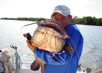 The Maryland Department of Natural Resources has launched a statewide campaign to teach citizens about the impact of blue and flathead catfish and encourage anglers to remove these invasive species from local waters