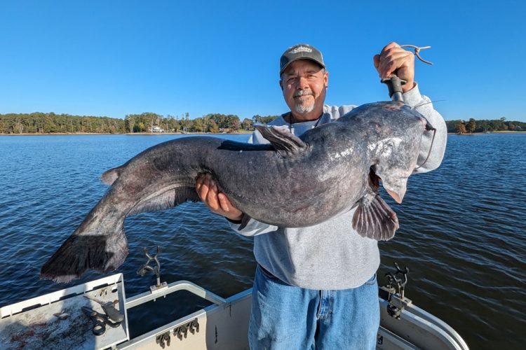 Catfish guide William Attaway with a big Lake Murray blue catfish