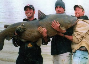 Cody Mullennix, left, caught this 121.5-pound former world-record blue cat in 2004 while fishing in Lake Texoma, one of the Lone Star State’s top destinations for trophy whiskerfish.