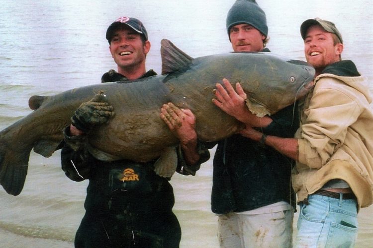Cody Mullennix, left, caught this 121.5-pound former world-record blue cat in 2004 while fishing in Lake Texoma, one of the Lone Star State’s top destinations for trophy whiskerfish.