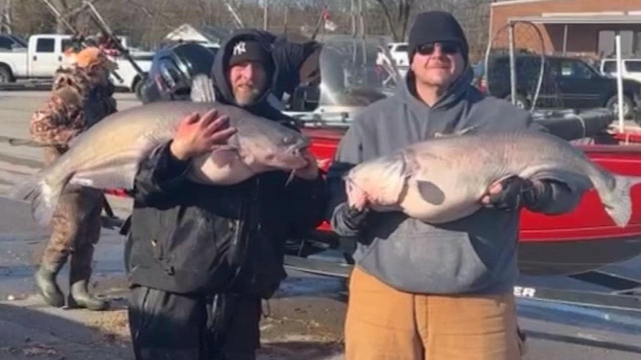 intermediate, catfish, blue cat, flathead, channel cat, tournament, Old Hickory Lake, Cumberland River, Winter Whiskers, Chuck Woodall, Jace Guess, Jeremy Turnes, Mark Reichenbach Jr., Michael Robinson, Charlie Quinn, Chris Musick, Ricky Eiselt, Rob Benningfield, Brian Folena