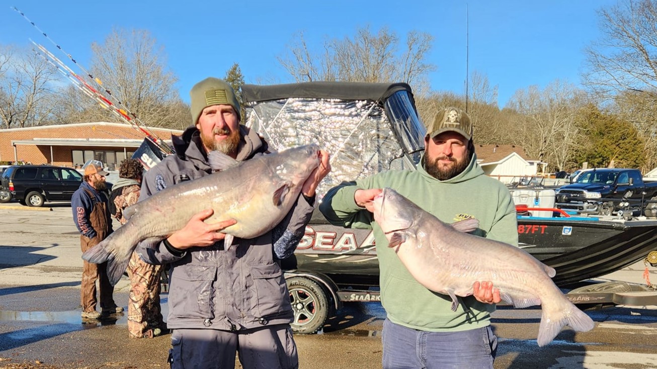 intermediate, catfish, blue cat, flathead, channel cat, tournament, Old Hickory Lake, Cumberland River, Winter Whiskers, Chuck Woodall, Jace Guess, Jeremy Turnes, Mark Reichenbach Jr., Michael Robinson, Charlie Quinn, Chris Musick, Ricky Eiselt, Rob Benningfield, Brian Folena