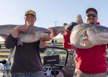 intermediate, catfish, catfishing, SeaArk Boats, Twisted Cat Outdoors, Alex Nagy, Tom Stolze, Liz Nagy, Josh Weed, Marty Gerloff, Jordan Collins, Joseph Guinn, Robert Ostrander, Charles Scott, James Kachmar, Joe Ludkte, Joe Coventry, Mike Behne, Max Doubet, Tim Stookesberry, Mississippi River, Missouri River, Alton, IL