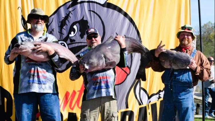 Intermediate, catfish, catfishing, blue catfish, flathead catfish, channel catfish, tournament, Santee Cooper, Santee Cooper Country, Blacks Camp, Santee Big Cat Brawl, Ralph Willey, Mark Coburn, Brad McCall, Mike Durham, Wesley Bridges, Clay Henderson, Barry Moore, Jason Wolfe, Larry Godwin, Evan Martin, Michael Odum, Owen Stanley, Bethany Leggette