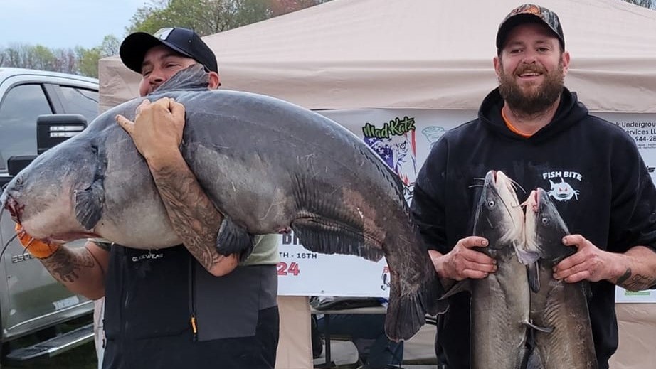 Intermediate, catfish, catfishing, blue catfish, flathead catfish, channel catfish, tournament, Santee Cooper, Santee Cooper Country, Blacks Camp, Santee Big Cat Brawl, Ralph Willey, Tanya Wiley, Mark Coburn, Brad McCall, Mike Durham, Wesley Bridges, Clay Henderson, Barry Moore, Jason Wolfe, Larry Godwin, Evan Martin, Michael Odum, Owen Stanley, Bethany Leggette, Robbie Reynolds, Scott Peavy, Kevin Lakin