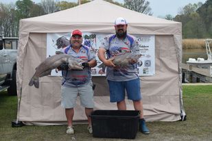 Intermediate, catfish, catfishing, blue catfish, flathead catfish, channel catfish, tournament, Santee Cooper, Santee Cooper Country, Blacks Camp, Santee Big Cat Brawl, Ralph Willey, Tanya Wiley, Mark Coburn, Brad McCall, Mike Durham, Wesley Bridges, Clay Henderson, Barry Moore, Jason Wolfe, Larry Godwin, Evan Martin, Michael Odum, Owen Stanley, Bethany Leggette, Robbie Reynolds, Scott Peavy, Kevin Lakin 