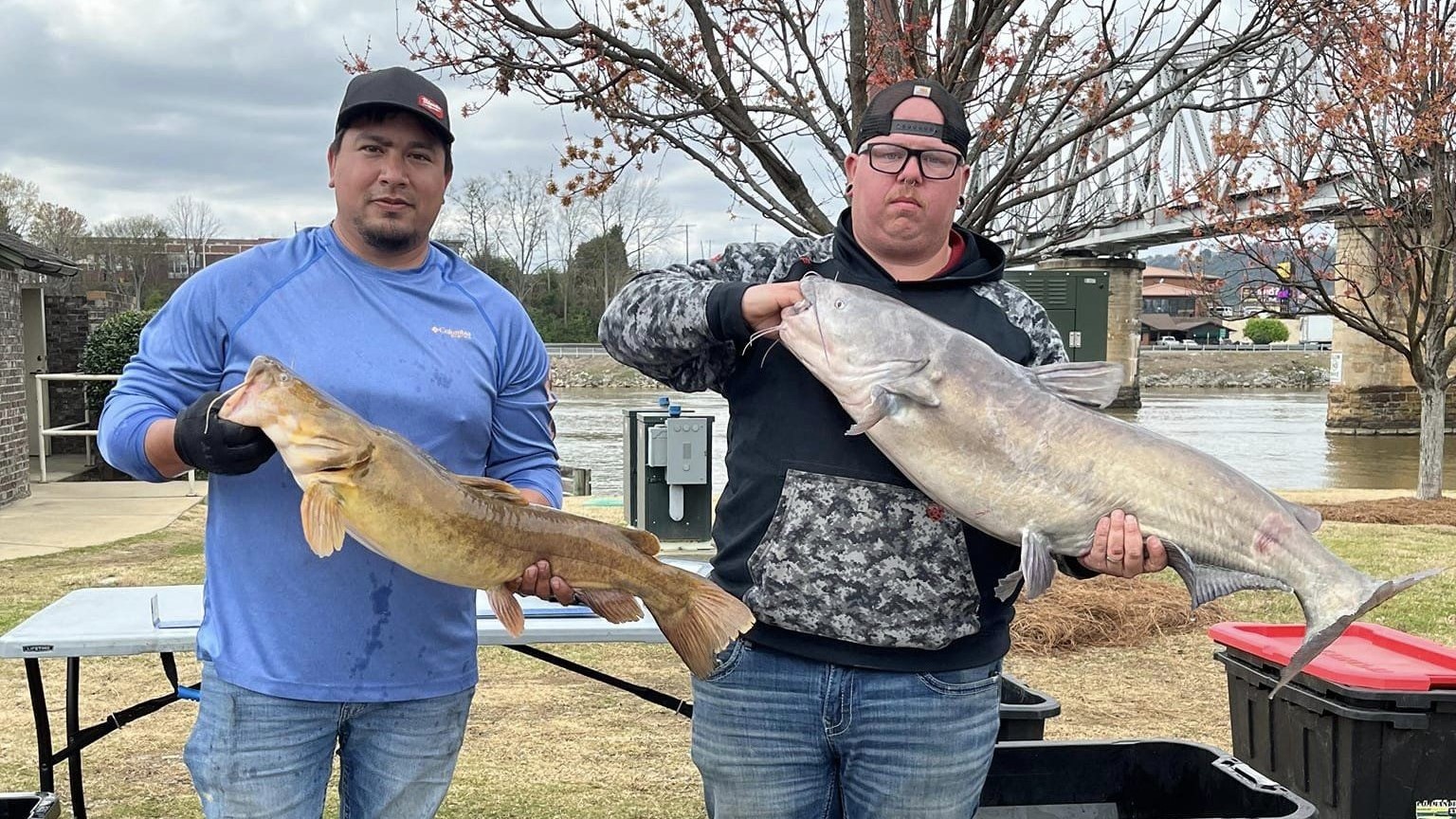 intermediate, catfish, catfishing, Neely Henry, Alabama, Nathan Trammell, Jonathan Batton, Coosa River Bottom Feeders, Cody Chambers, Alabama Catfish Series, Marshall Hughey, Chad Mayfield, Matt Brewster, Casey Jones, Herbie Saade, Jeff Helms