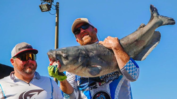 Intermediate, catfish, catfishing, blue catfish, flathead catfish, channel catfish, tournament, King Kat, KingKat, Cabelas, Bass Pro, Bob Denen, Bradley Lail, Brandon Masters, Ray Ferguson, Melissa Goldston, Vince Nadosky, Sean Ison, Damian Clark, Jeremiah Keen, David Weil, Jared Ray, Kyle Houghtelin