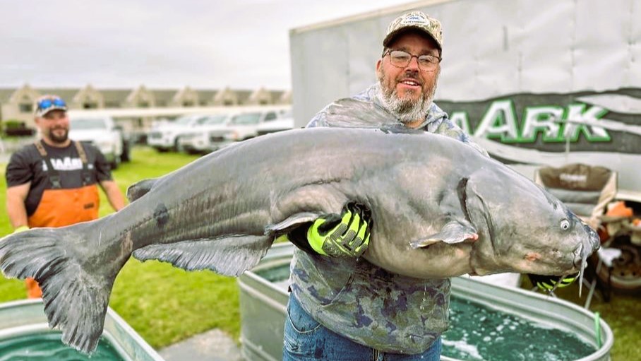 intermediate, catfish, fishing, flathead, channel cat, Decatur, Alabama, Wheeler Lake, SeaArk Boats, Mike Mitchell, Jackson Mitchell, Rick Sexton, Wade Kaminsky, Jake Derhake, Tyra Williams, Craig Williams, Kevin Childress, Gary Taylor, Tiffany Taylor, Paul Petrowski, Jon Ed Rowe, Steve Henderson, John Godwin, Jereme Coe, Daryl Masingale, Jason Masingale, Alex Nagy, Chris Souders, Jeff Dodd, Roy Harkness, Jimmy Burton, John Troutt, Logan Tanner, Jason Shaw, Kevin Woolfolk, Nathan Trammell, Chad Vice, Johnathan Batten, Mark Isgrig, Mark Isgrig Jr, Jeff McCubbins, Benji Brown, Lindsey Brown, Zachary Murray