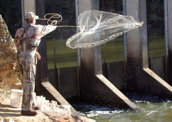Learning to throw a cast net can give catfish anglers a leg up on catching fresh baitfish to entice their quarry.