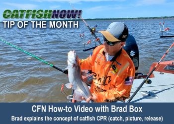 CFN How-to Video with Brad Box