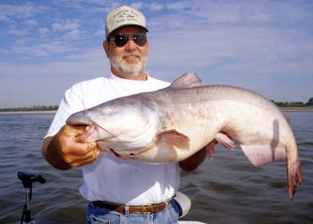 Bumping was developed by anglers on the Mississippi River like fishing guide James Patterson of Bartlett, Tenn. who shows a nice blue cat caught using the technique.
