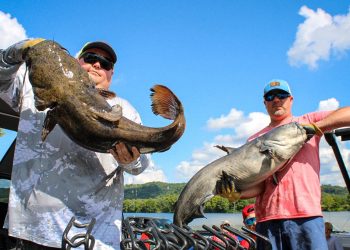 intermediate, catfish, catfishing, channel cats, King Kat, Bob Denen, Olivia Osteen, Scott Peavy, Gallipolis, Ohio, Josh Vanover, Donnie Fountain, Lonnie Fountain, Joe Carter, Janet Carter, Chris Rhodes, Chris Hatfield, Donnie Fountain, Josh Vanover, Gary Davidson, Hunter Davis, Keith Tarrence, Aaron Preece, Cody Carver
