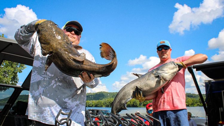 intermediate, catfish, catfishing, channel cats, King Kat, Bob Denen, Olivia Osteen, Scott Peavy, Gallipolis, Ohio, Josh Vanover, Donnie Fountain, Lonnie Fountain, Joe Carter, Janet Carter, Chris Rhodes, Chris Hatfield, Donnie Fountain, Josh Vanover, Gary Davidson, Hunter Davis, Keith Tarrence, Aaron Preece, Cody Carver