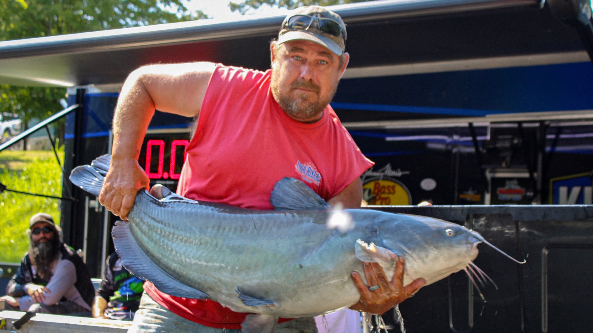 intermediate, catfish, catfishing, channel cats, King Kat, Bob Denen, Olivia Osteen, Scott Peavy, Grand Rivers, Kentucky, Don Elder,  Josh Vanover, Donnie Fountain, Lonnie Fountain, Joe Carter, Janet Carter, Chris Rhodes, Chris Hatfield, Donnie Fountain, Hunter Davis, Keith Tarrence, Aaron Preece, Cody Carver, Chris Tramm, Damian Clark, Paul Petrowski, Tim Doom, Tabitha Nelms